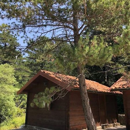 The Old Man'S Chalet Villa Dukat Dış mekan fotoğraf