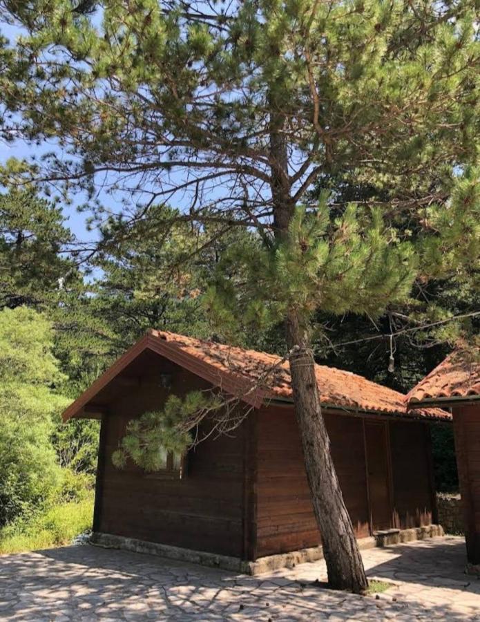 The Old Man'S Chalet Villa Dukat Dış mekan fotoğraf